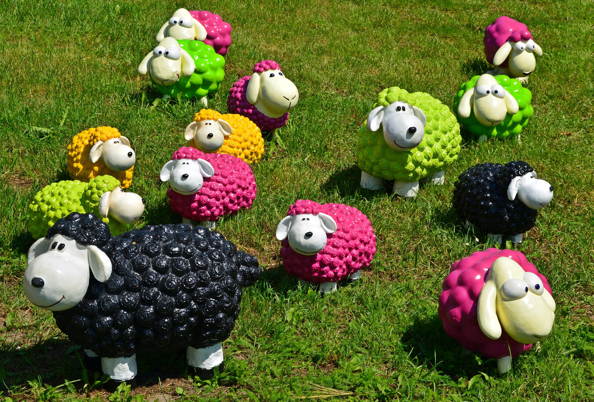 sheep-1437618_1920